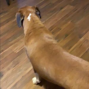 Meet your Posher, Keith